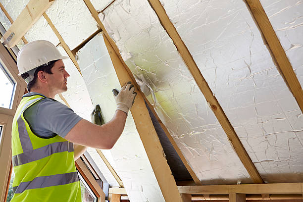 Best Spray Foam Insulation in Mogul, NV